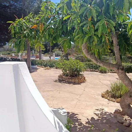 Villa Quinta Do Lagar - 08