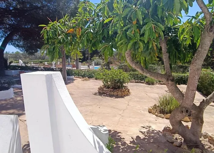 别墅 Quinta Do Lagar - 08